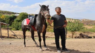 Rahvan atların yolculuğu: Orta Asyadan Osmanlıya, bugün Paluda