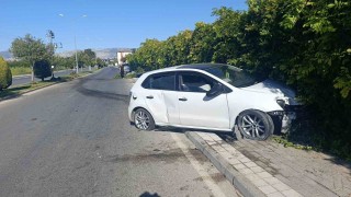 Refüjdeki ağacı deviren otomobil duvara çarparak durabildi: 1 yaralı