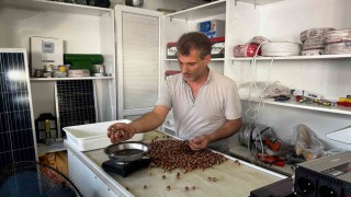 Rekolte düşüklüğü fındık fiyatlarını yükseltti