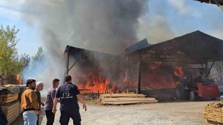 Safranboluda kereste fabrikasında yangın