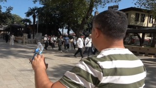 Sahibinin omzunda ve elinde çarşıyı geziyor