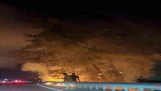 Sakar rampasında orman yangını