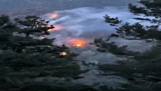 Sakaryadaki orman yangını kontrol altına alındı