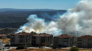 Salça yaparken çıkan kıvılcımla 30 dönüm makilik alanı kül oldu