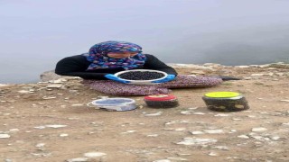 Şalpazarı yaylalarında yaban mersini bereketi