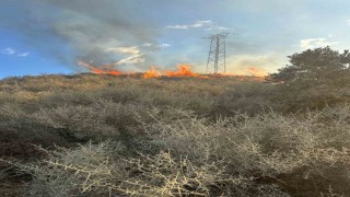 Samandağda arazi yangını