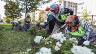 Samsun, kadınların emeğiyle güzelleşiyor