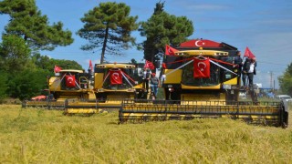 Samsunda 1. Çeltik Hasat Günü