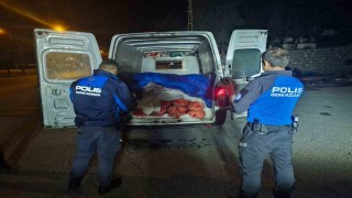 Samsunda 5 ton kaçak midye ele geçirildi