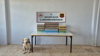 Şanlıurfada 7 bin 777 paket gümrük kaçağı sigara ele geçirildi