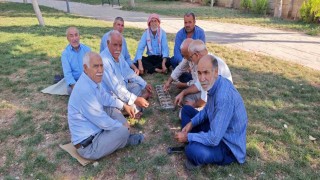 Şanlıurfada binlerce yıllık zeka oyunu