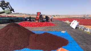 Şanlıurfada isotun acı serüveni başladı