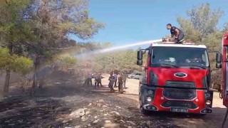 Şanlıurfada orman yangını