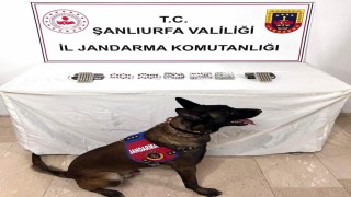 Şanlıurfada uyuşturucu madde ele geçirildi