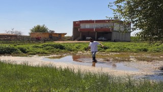 Şanlıurfada yükselen taban suyu ev ve tarlaları yuttu