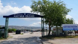 Şap hastalığı sebebiyle Büyükşehir Hayvan Pazarı kapatıldı