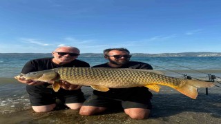 Sapanca Gölünde 18 kiloluk dev sazan: O anlar kamerada