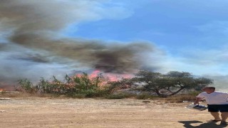 Sazlık alanda çıkan yangın büyümeden söndürüldü