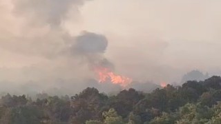 Sazlık alanda çıkan yangın ormana sıçradı