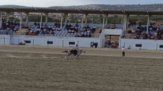 Selendi Beypınar Atlı Cirit Takımı Manisayı temsil edecek