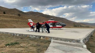 Serebrovasküler hasta ambulans helikopterle Vana sevk edildi