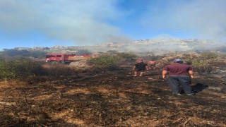 Serikte makilik ve zeytinlik alanda çıkan yangın 1 saatte kontrol altına alındı