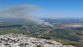 Serikte ormanlık alanda yangın