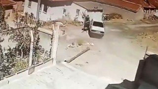 Seyir halindeki araçta yılan paniği kamerada: Sürücü araç durmadan indi