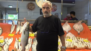 Sezon açıldı, tezgahlarda hamsi ve istavrit bolluğu