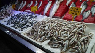 Sezonun ilk balıkları tezgahlarda