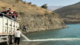 Siirtte baraj gölü balıklandırıldı