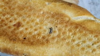 Siirtte ekmekten çivi çıktı