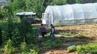 Simav Esenbağ Köyünde sel ve su baskınından zarar gören tarım alanları tespit edildi