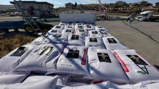 Sincan Belediyesinden çiftçilere buğday tohumu desteği