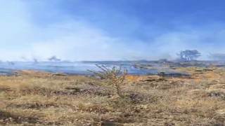 Sincik ilçesinde korkutan orman yangını