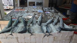 Sinopta torik bolluğu: Tanesi 800 TL