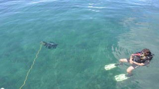 Sinopta yapay zeka destekli insansız deniz aracı ilk kez suya indirildi