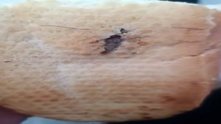 Şırnakta ekmeğin içinden böcek çıktı