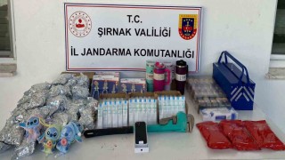 Şırnakta jandarma ekipleri 14 milyonluk kaçakçılığı önledi