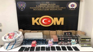 Şırnakta narkotik ve kaçakçılık operasyonunda 2 tutuklama