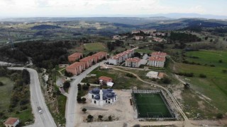 Site sakinlerine yavru ayı uyarısı