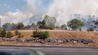 Sivasta makilik alandaki yangına müdahale ediliyor