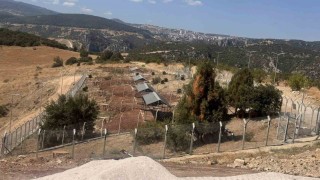 Sokak Hayvanları Doğal Yaşam Alanını ruhsatsız çıktı