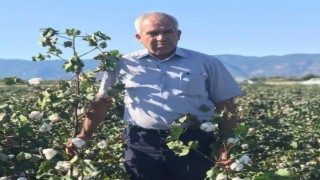 Söke Ziraat Odası Başkanı Tanyeri: 40 liranın altı pamuk üreticisinin sonu olur
