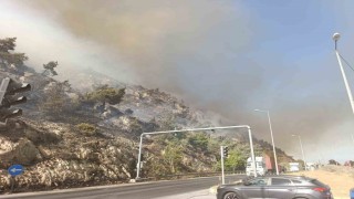 Sökede makilik alan yangını, söndürme çalışmaları sürüyor