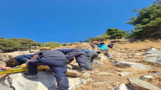 Sökede uçurumdan düşen kişi AFAD ekiplerince kurtarıldı