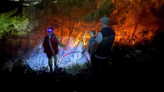 Sökedeki orman yangınının yayılması durduruldu