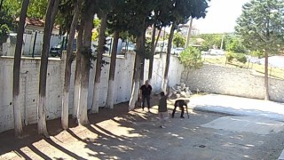 Sözkesen; Kalede yaşanan zorbalık siyaset değil, şiddettir