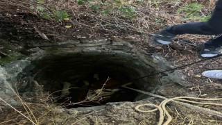 Su kuyusuna düşen inek için seferber oldular