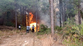 Sumbas İlçesinde Orman Yangını: Ekipler Karadan ve Havadan Müdahale Ediyor